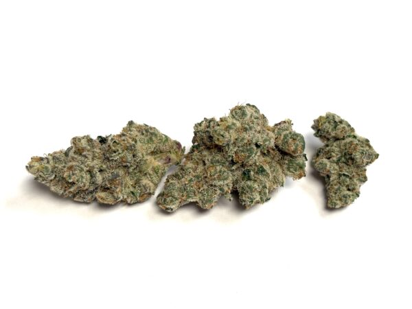 420 Evolution 30_1 CA WES