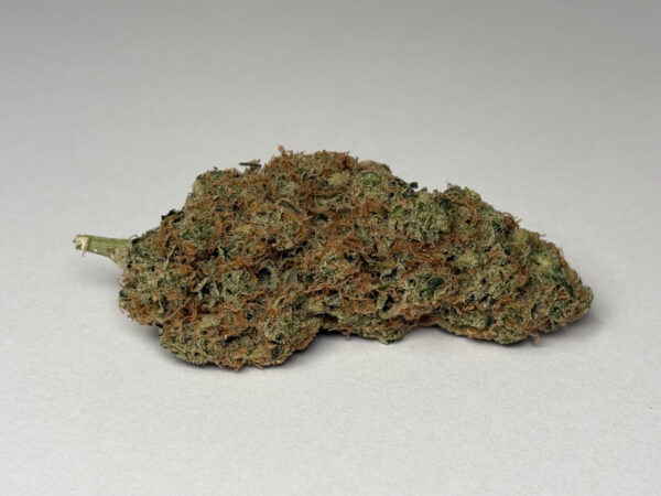 Origine Nature CHEM 25/1