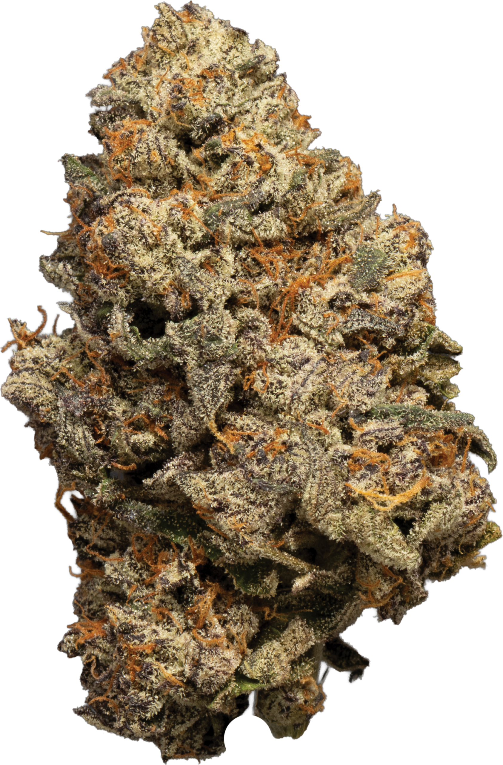 Premium Medizinalcannabis Blüte