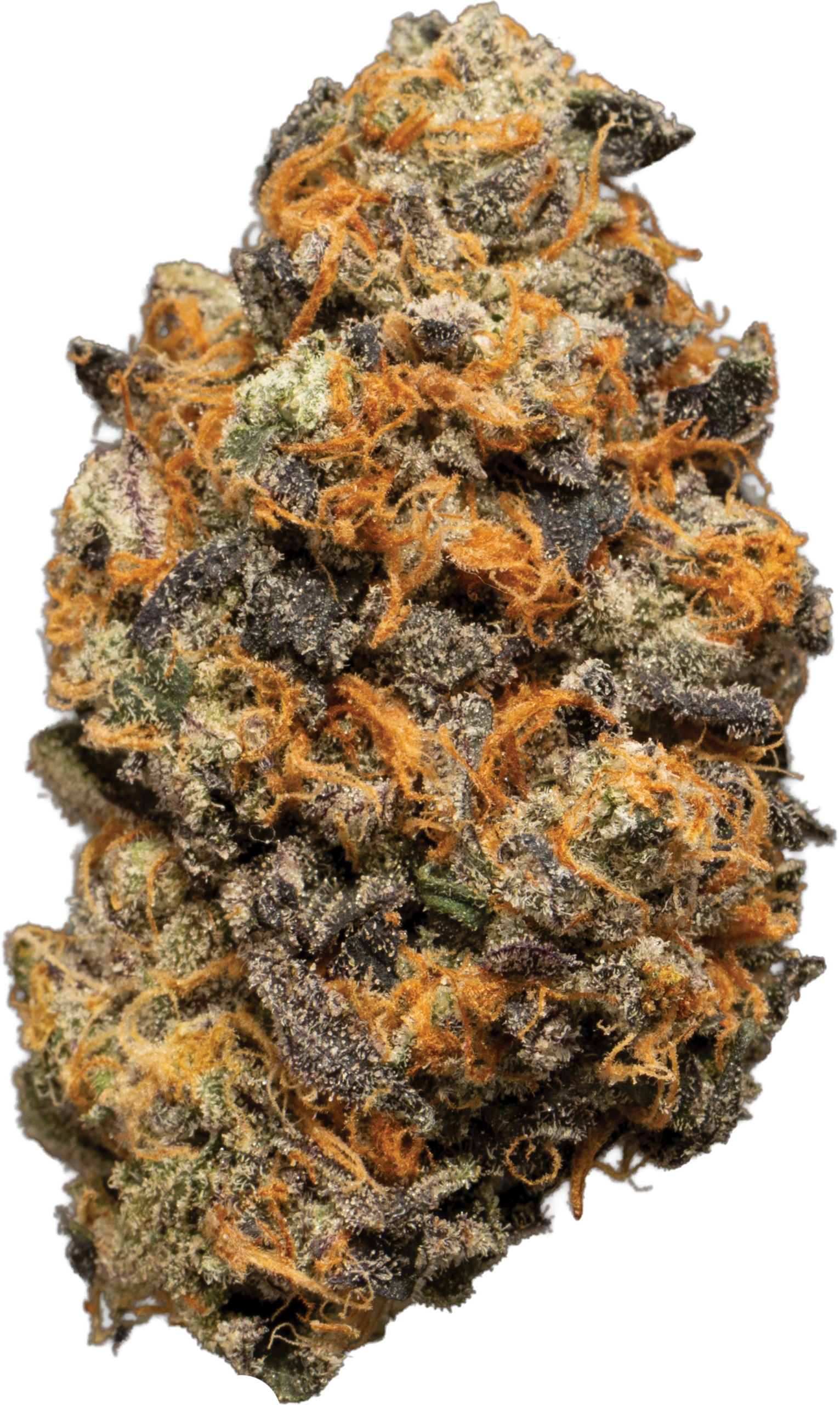 Premium Medizinalcannabis Blüte