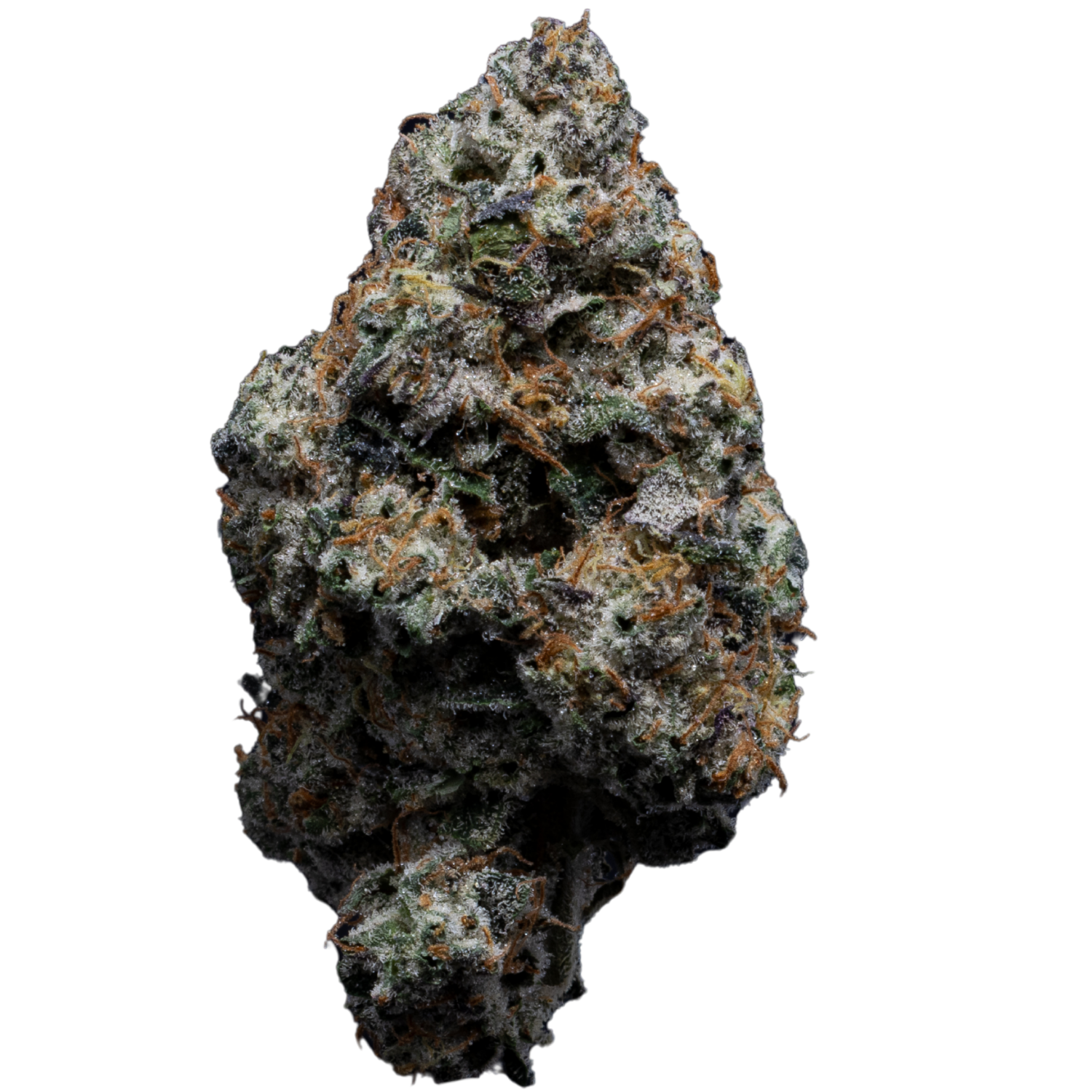Orange Sherb
