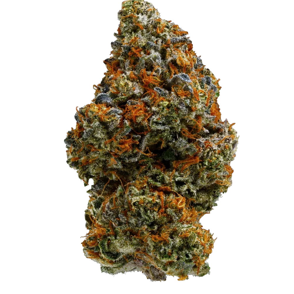 Island Genetics KGOP 27/1 (Kool Grapes)